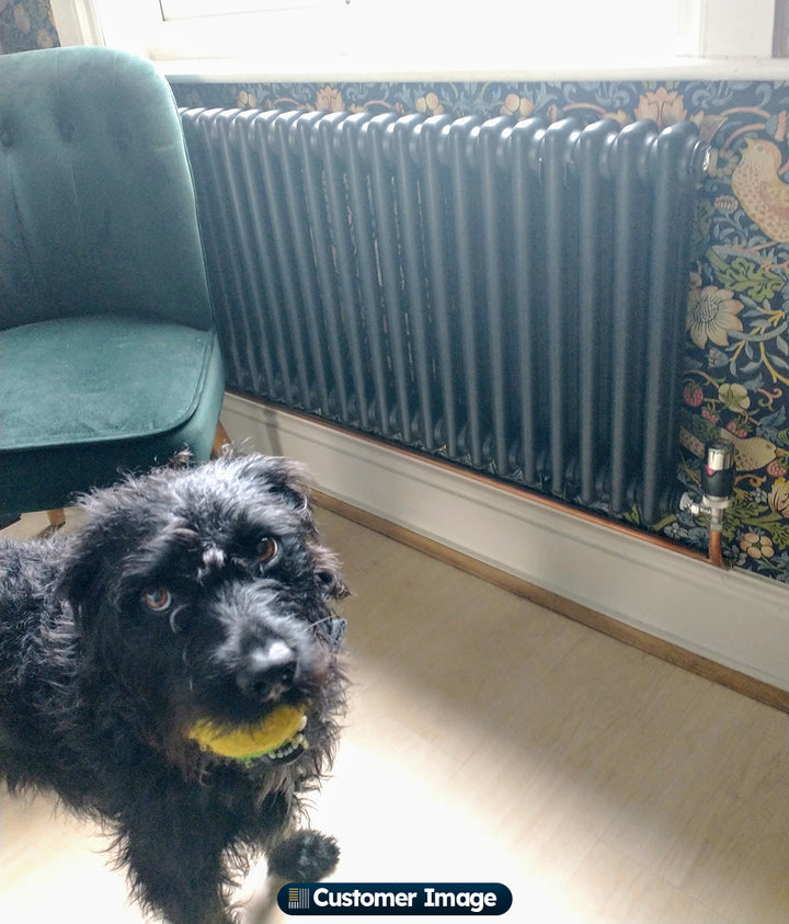 Alpha - Anthracite Column Radiator H500mm x W1164mm 2 Column