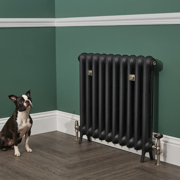 Emmeline II - Matt Black Cast Iron Column Radiator H470mm x W363mm 2 Column - Floor Standing