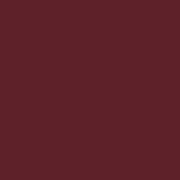 Alpha - Wine Red Column Radiator H600mm x W592mm 2 Column