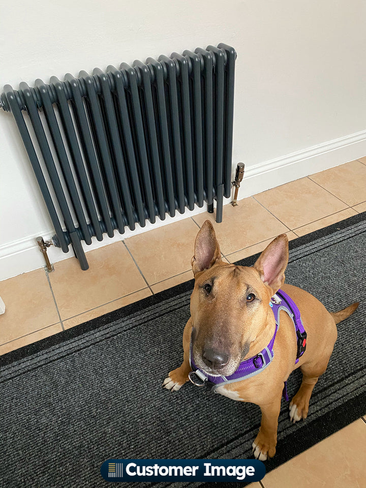 Alpha - Anthracite Column Radiator H600mm x W777mm 3 Column - Feet Included