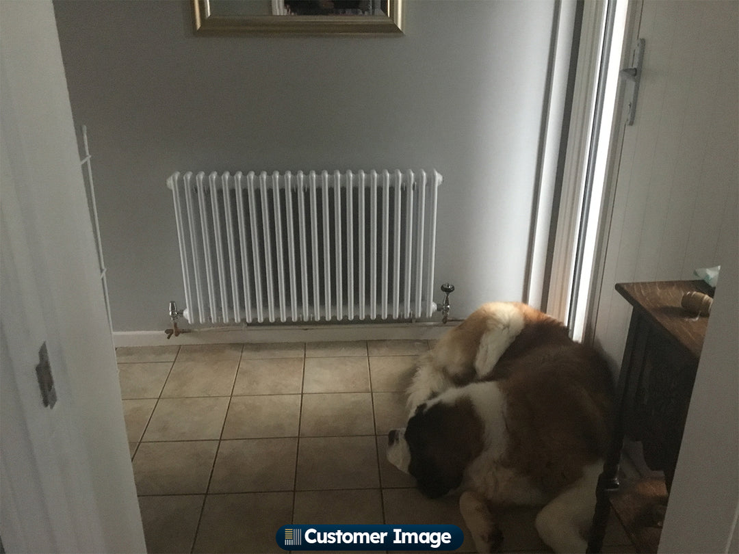 Customer photo of a Alpha White column radiator installed in a home interior