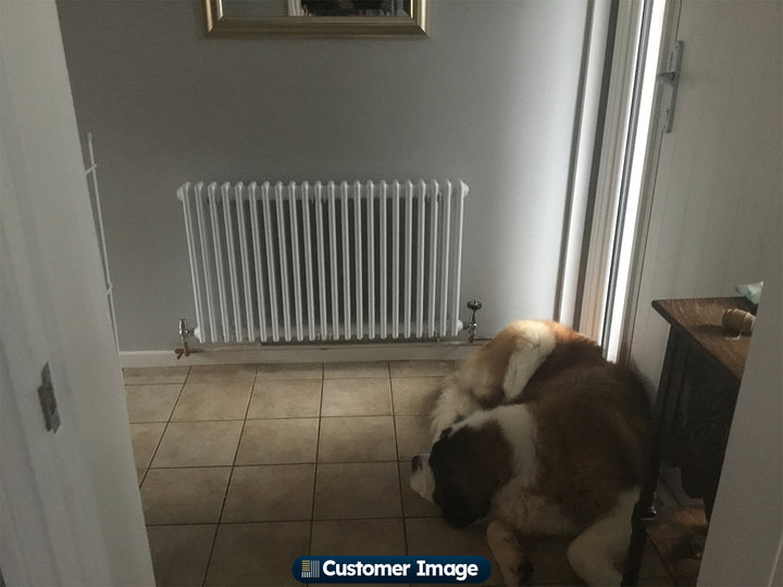 Customer photo of a Alpha White column radiator installed in a home interior