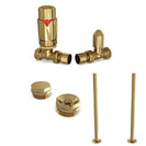 Derry Bold - Thermostatic Radiator Valve & Accessory Kit - Polished Brass Straight 15mm
