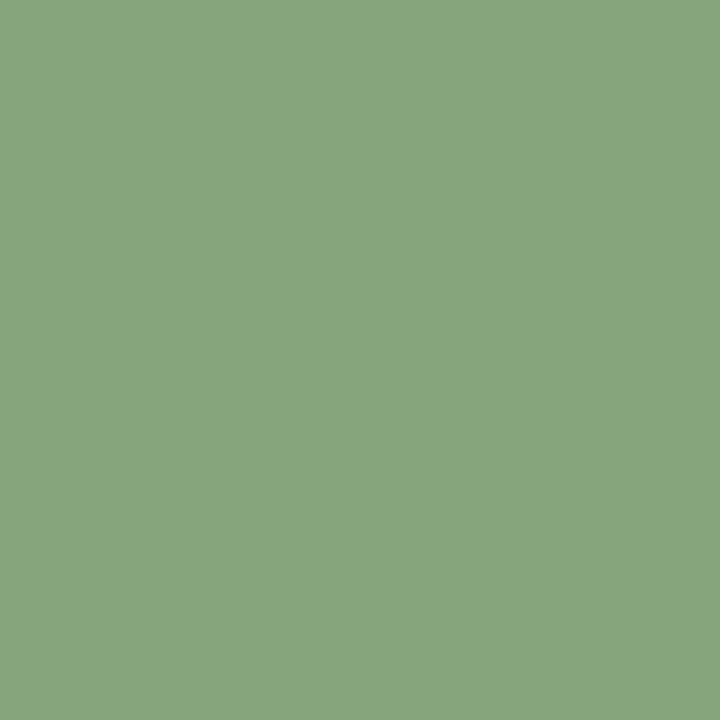 Alpha - Pale Green Column Radiator H500mm x W988mm 2 Column