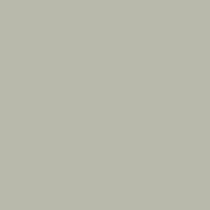 Alpha - Pebble Grey Column Radiator H500mm x W988mm 2 Column